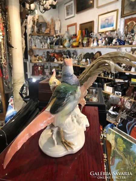 Ens porcelain gold pheasant, from the 1920s-30s, 30 cm in size