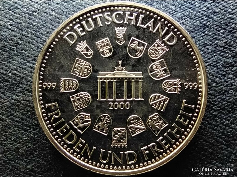 Opening of the new German Federal Parliament 1999 .999 Silver commemorative medal 20g pp (id69444)