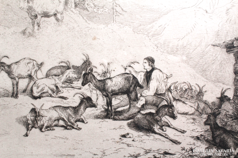 F. Gauermann (1807-1862): the goatherd (etching with frame) Austrian artist