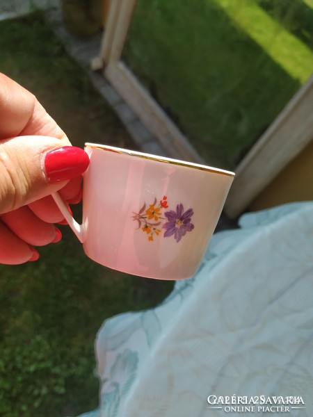 Hollóházi porcelain violet, floral coffee set for sale! For replacement