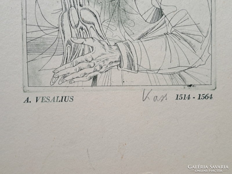 Kass János: A. Vesalius portréja - rézkarc - orvosportré, történelmi személy
