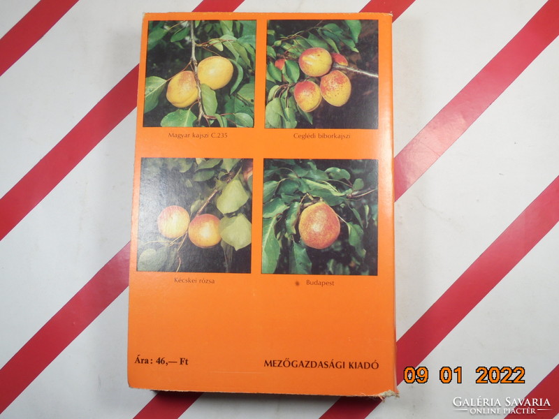 Nyujtó Ferenc - Surány sauce: apricot