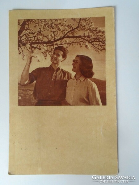 D195588 young couple - spring - disaster 1954 sent to Gyula - postcard