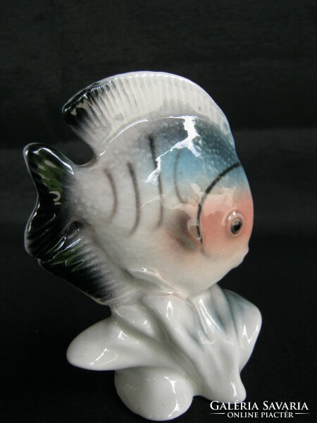 Porcelain colorful marine fish discus fish