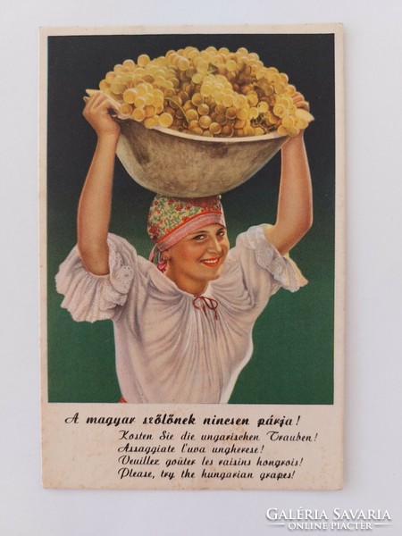 Old propaganda postcard Hungarian grape advertising postcard