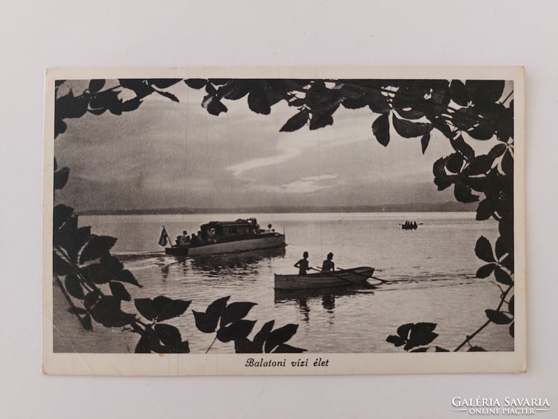 Old postcard Balaton water life photo postcard