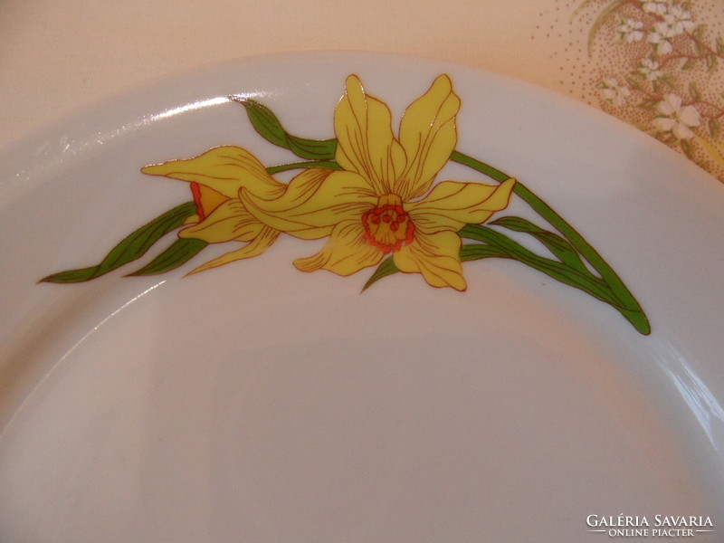 Alföldi porcelain narcissus pattern cookie plate (5 pcs.)