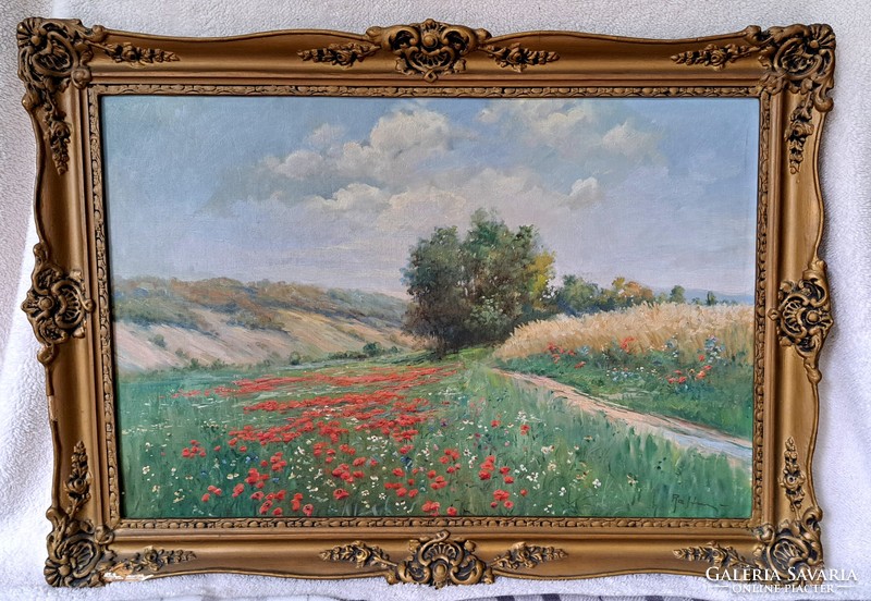 Sándor Csókfalvy raffay: poppy field