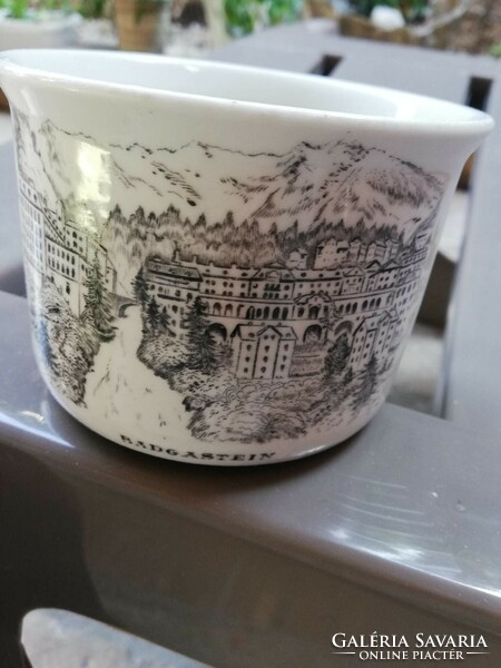 Wilhelmsburger Austria porcelain mug