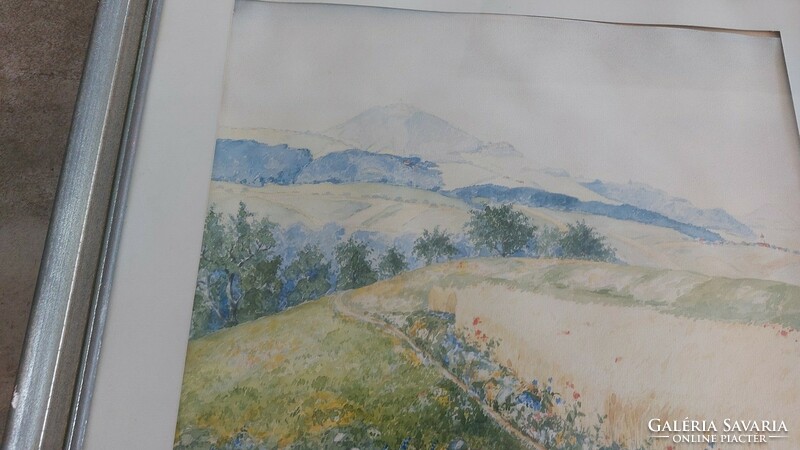 K) Régi akvarell festmény virágzó rét távolban hegyek 56x51 cm kerettel, szignózott.