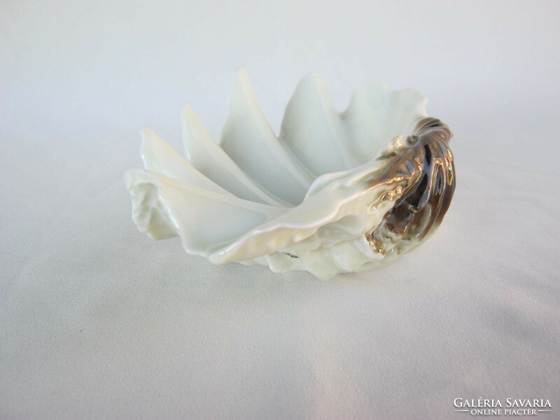 Hollóházi porcelán tengeri kagyló