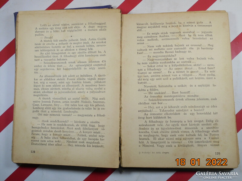 Székely Nándor: Az örök idegen, antik könyv, 1926-os kiadás