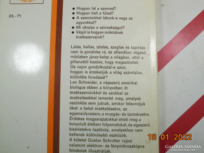 Leo Schneider: Hogyan érzékelünk?