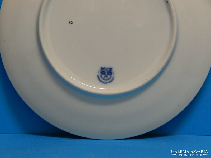 Decorative plate Czech xx. Sd., in excellent condition