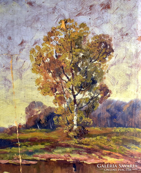Dayka antal (in 1902 operated at a large mine) early autumn landscape