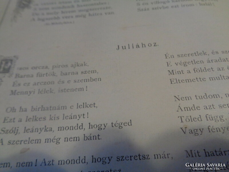 PETŐFI    Összes Költeményei 1889 . . díszes , képes kiadás