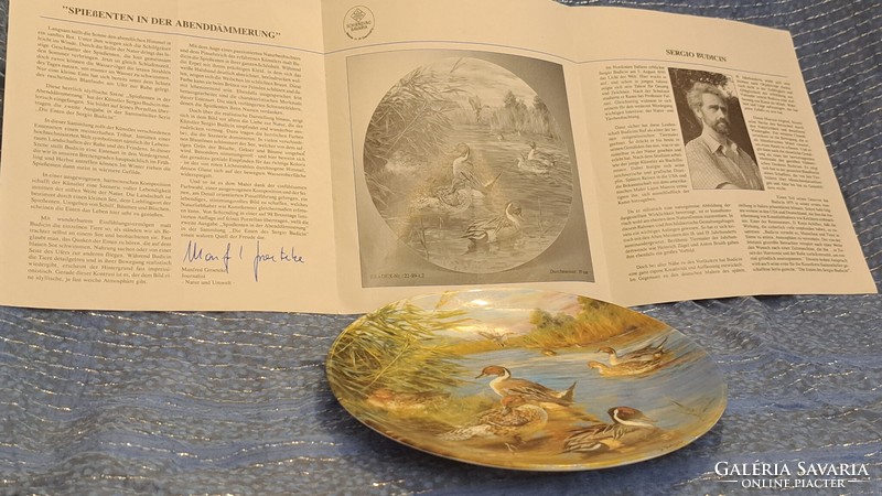 Wild duck porcelain plate, hunter wall plate 2 (l3822)