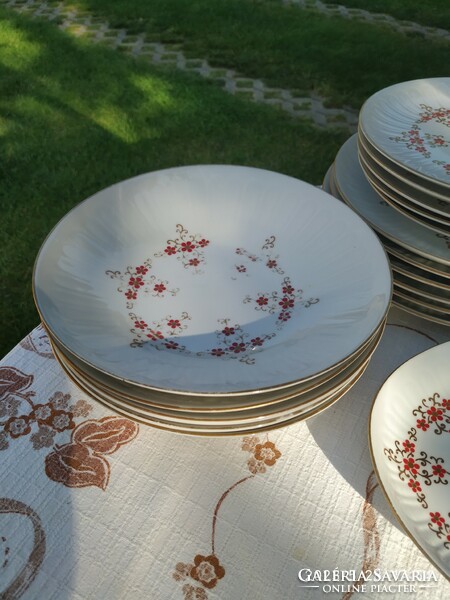 Porcelain tableware with a rare pattern for sale!Gdr henneberg 6-person tableware for sale!