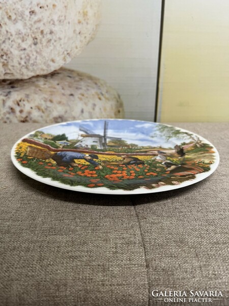 Royal schwabap Dutch porcelain decorative plate 