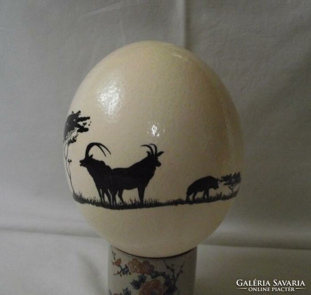 Strucc tojás,árnykép festéssel (afrika,safari minta)