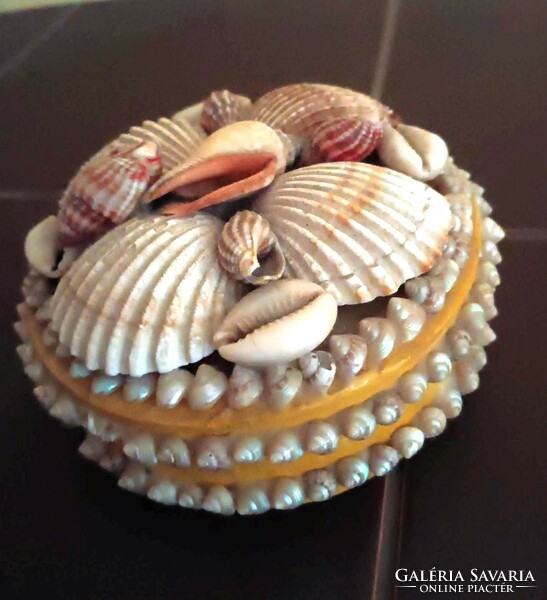 A box filled with shells is for sale