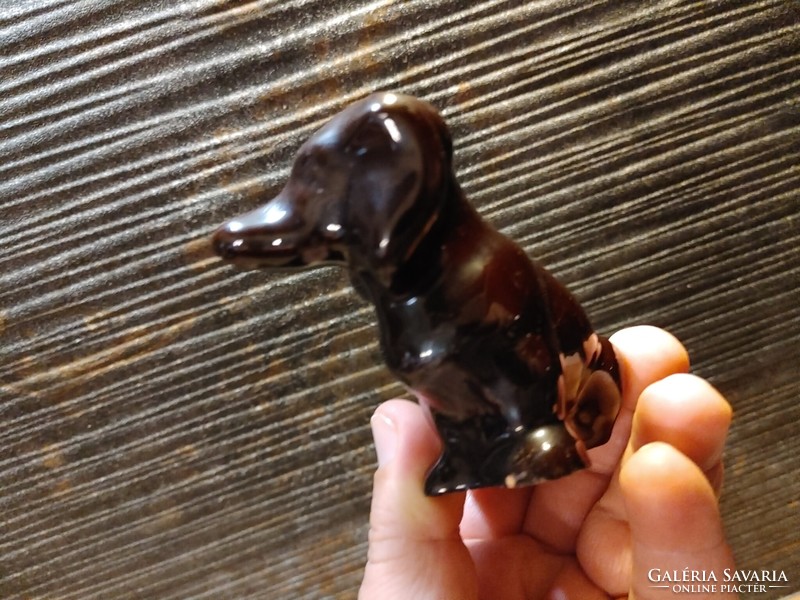 Ritka kutya porcelán.   8,5 cm