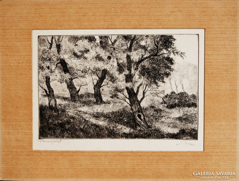 István Biai föglein (1905-1974): group of trees - original etching