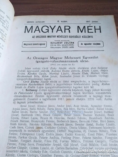 Szilassy Z. Magyar Méh, A Magyar Méhészet Egyesület Közlönye,1918 teljes,1917- 9 db,1919-1 db