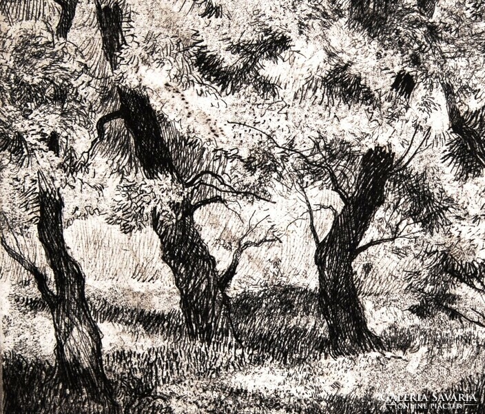 István Biai föglein (1905-1974): group of trees - original etching