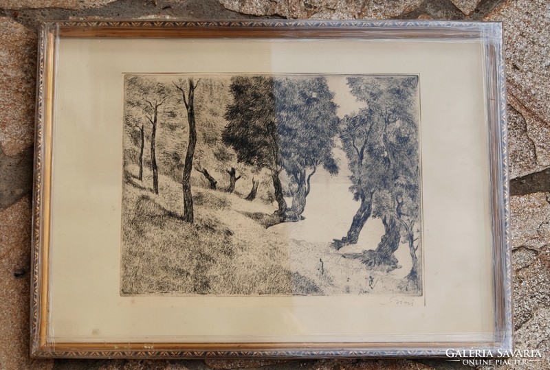 István Biai föglein (1905-1974): waterfront trees - etching, framed