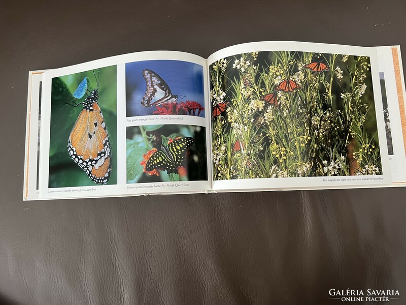 Peter Lik Ausztrália élővilága fotóalbum könyv