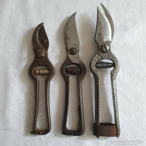 3 old pruning shears in one!
