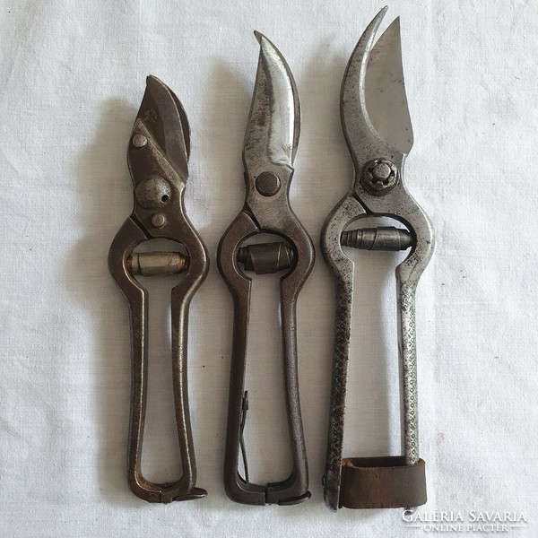 3 old pruning shears in one!