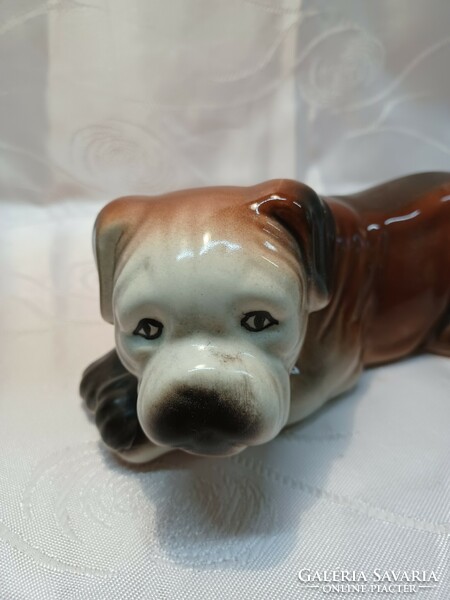 Amerikai Bulldog  porcelán kutya