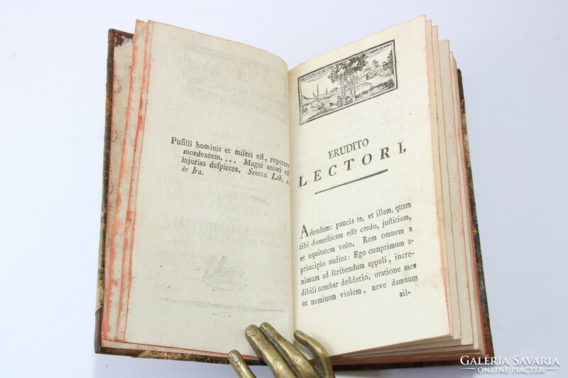 1791 - Lieutenant Batthyány - brief knowledge of Hungary and Transylvania in a beautiful contemporary half-leather binding !!