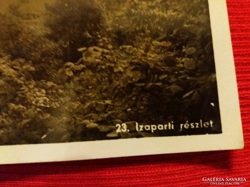 Antique Maramaros island photo film Cluj photo postcard sepia in good condition according to the pictures