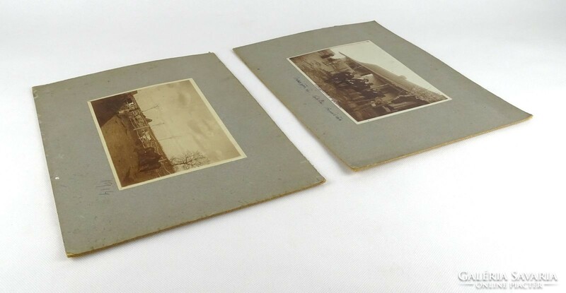 1H809 antique village photographs 4 cattle horse breeding animal husbandry