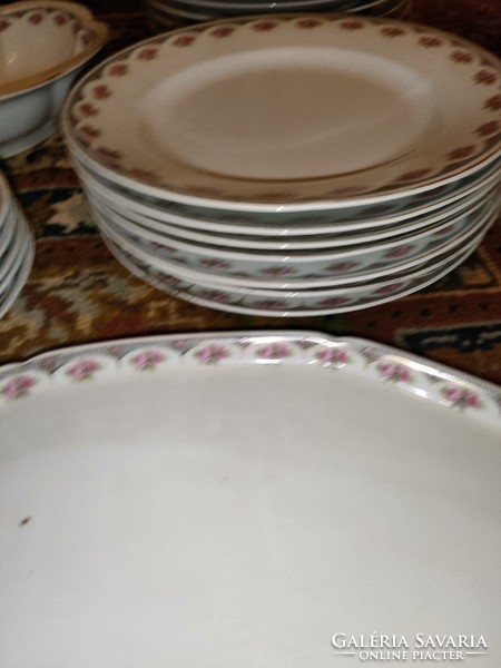 Old Czechoslovak rose dinnerware with small defects, 2 types of age