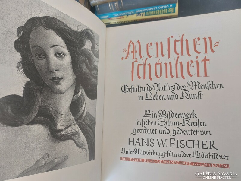 Hans w. Fischer: menschen-schönheit (gothic)