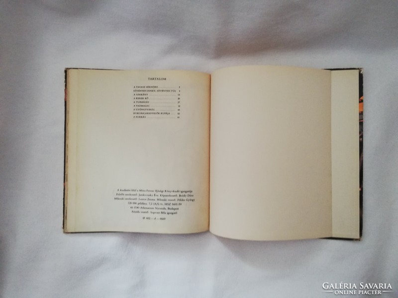 Raisin Storybook Again 1966, written by Ágnes Bálint