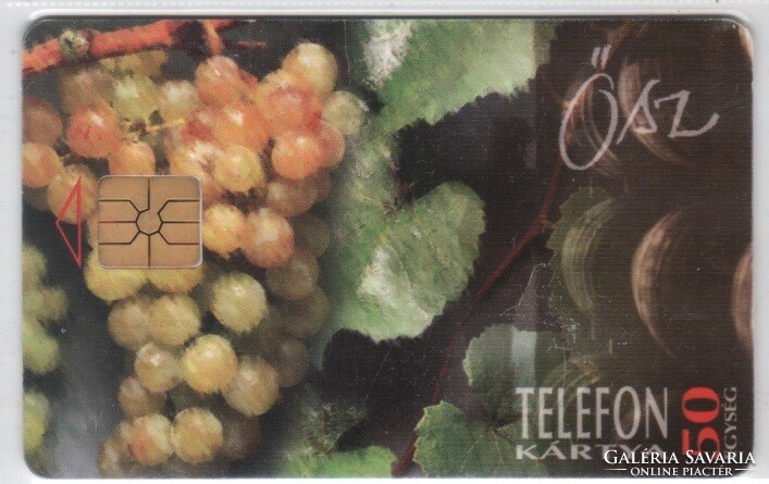 Magyar telefonkártya 1063    1995 Ősz  GEM 2 nincs Moreno felső fehér sorszám 4.000  db.