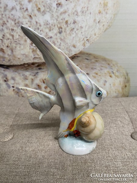 Drasche porcelain sailfish with snail a29