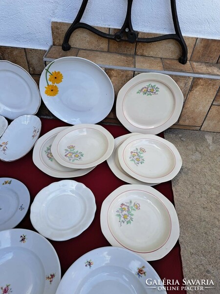 Alföld center offering mixed plates plates varia sundae deep plate cake plate
