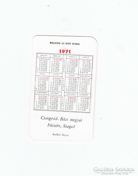 Camea 1971 Card Calendar