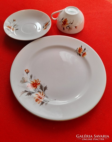 Chinese tea sets + flat plate
