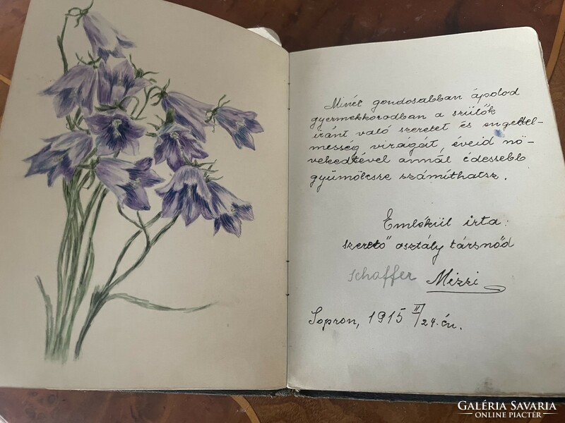 Memory book 1913-1916 with beautiful drawings and thoughts
