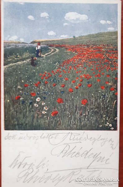 Szinyei-merse: poppies - used camp postcard from 1918