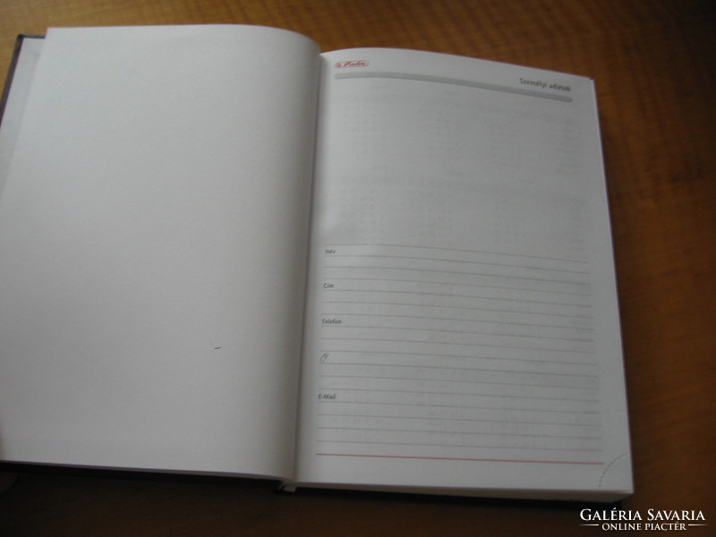 2011 deadline diary