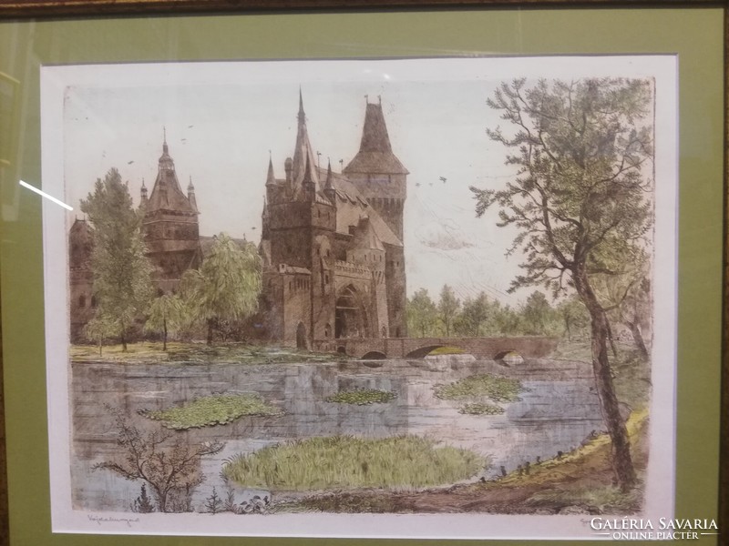 Gross arnold vajdahunyad castle colored etching