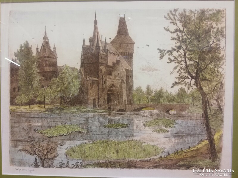 Gross arnold vajdahunyad castle colored etching
